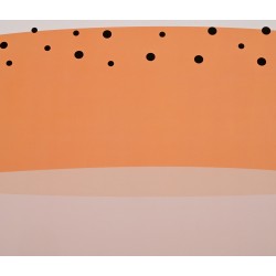 Póster Julieta - Naranja