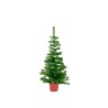 Pino con maceta 130cm Monarca - Verde