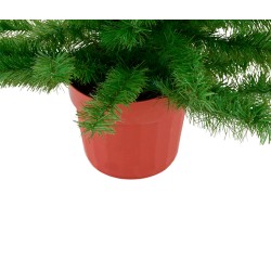 Pino con maceta 130cm Monarca - Verde