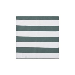 Servilleta individual 40 x 40 cm Paimado - Verde
